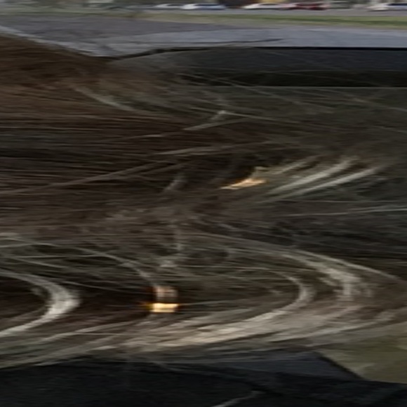 Meet your Posher, Robin - Picture 1 of 1